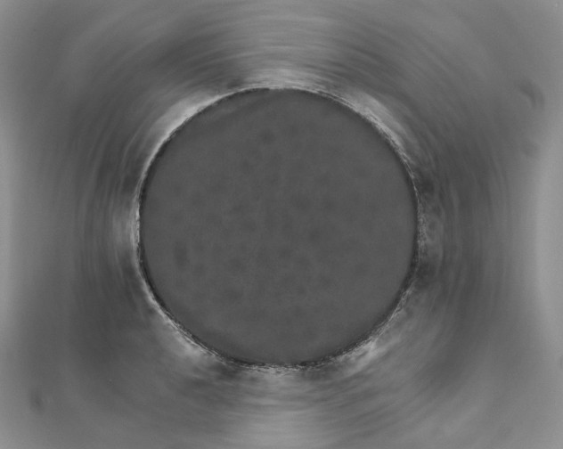 X0000111801040200908061154