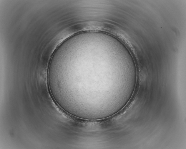 X0000111801041200908061154