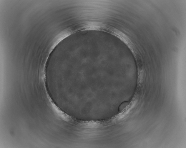 X0000111801042200908061154