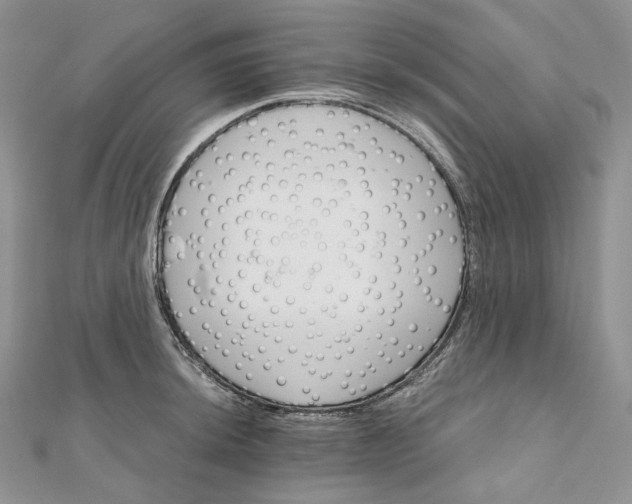 X0000111801044200908061154