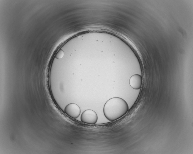 X0000111801045200908061154