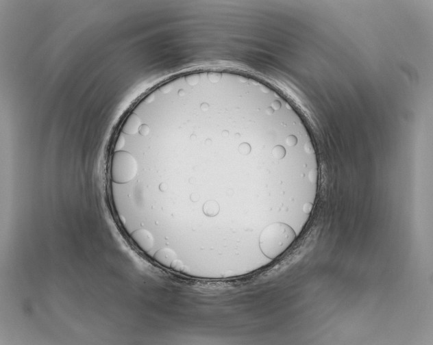 X0000111801046200908061154