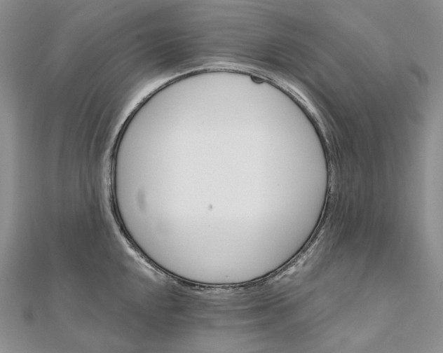 X0000111801048200908061154