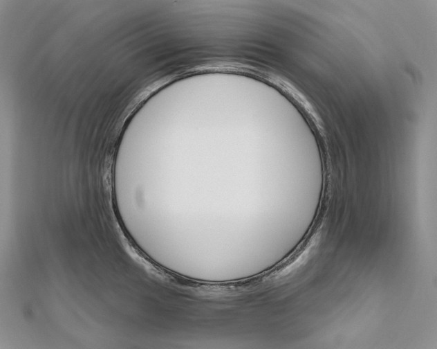 X0000111801049200908061154