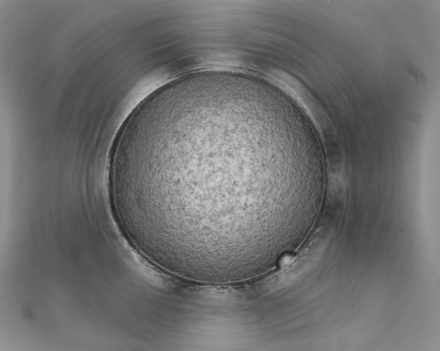 X0000111801050200908061154