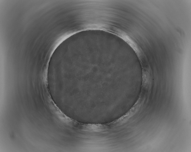 X0000111801052200908061154