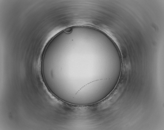 X0000111801053200908061154