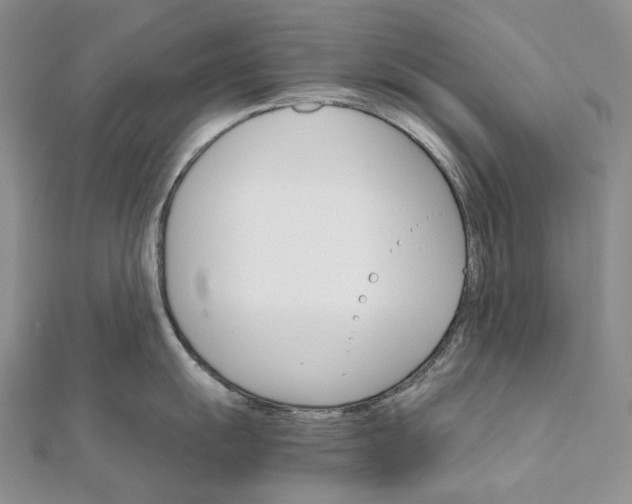 X0000111801055200908061154