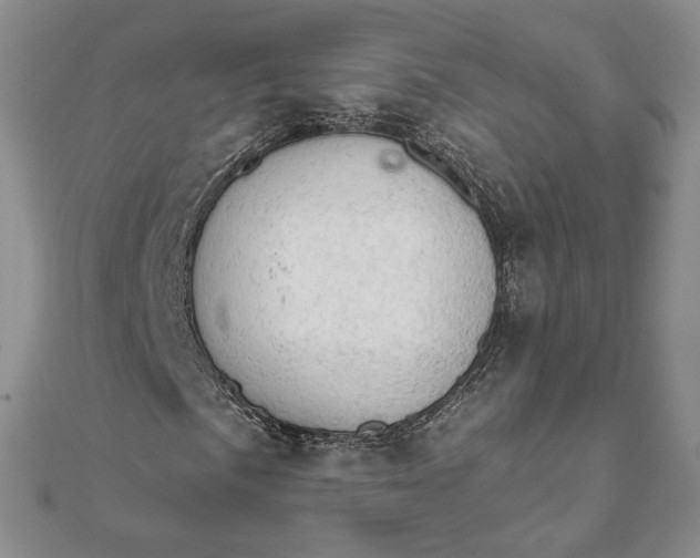 X0000111801057200908061153