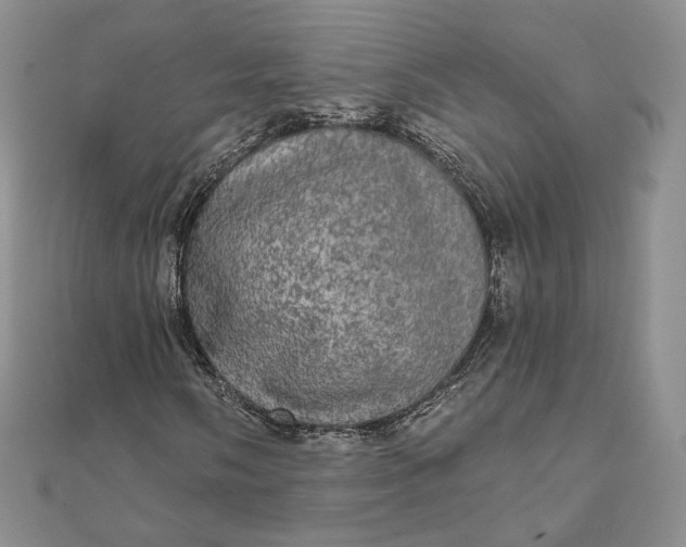 X0000111801058200908061153