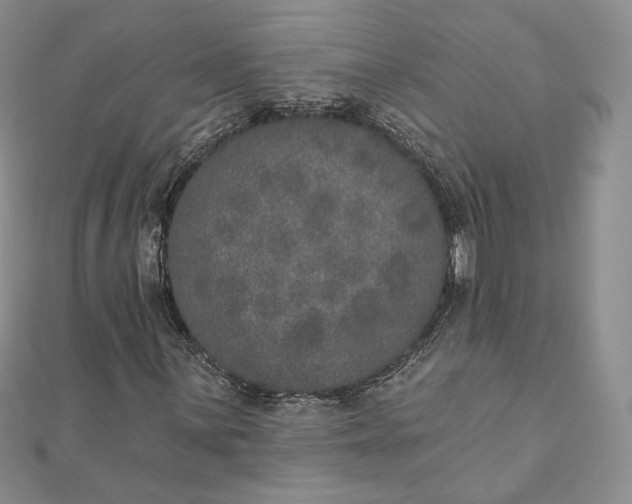 X0000111801059200908061153