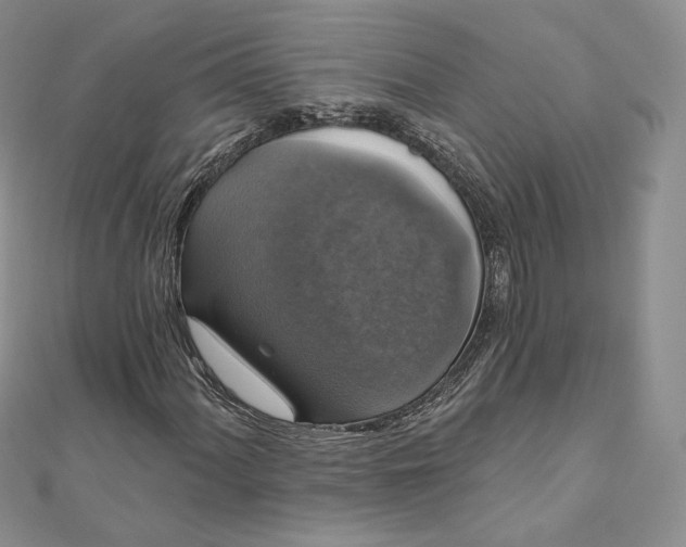 X0000111801060200908061153