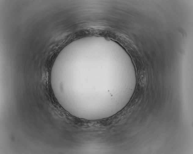 X0000111801061200908061153