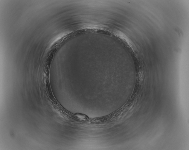 X0000111801064200908061153