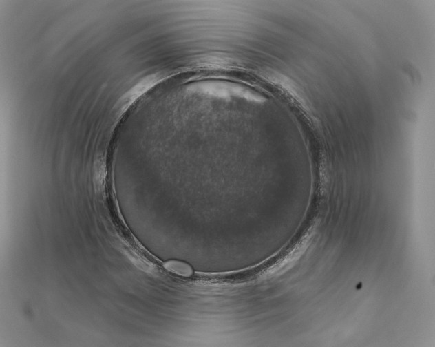 X0000111801065200908061153