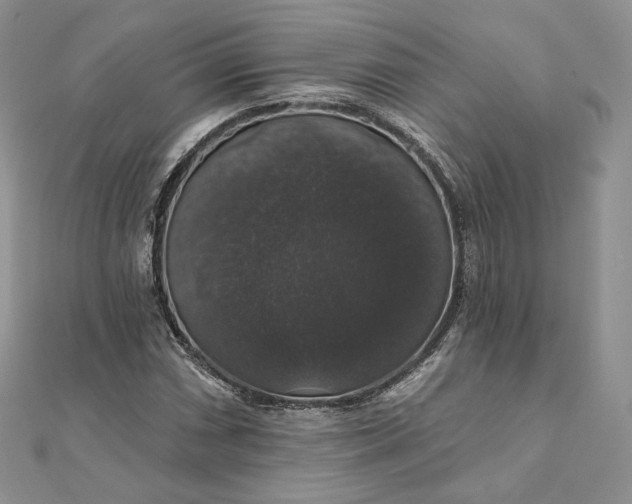 X0000111801066200908061153