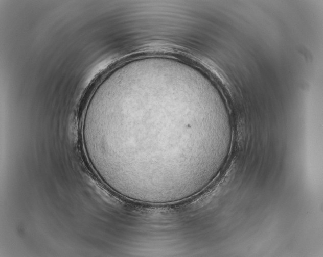 X0000111801067200908061153