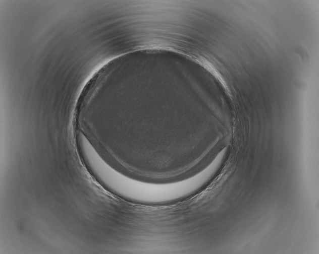 X0000111801068200908061153