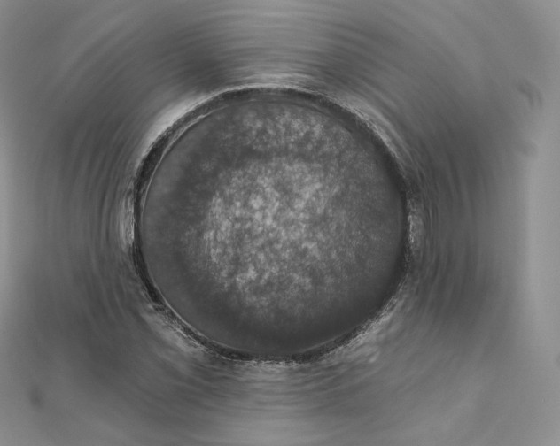 X0000111801069200908061153