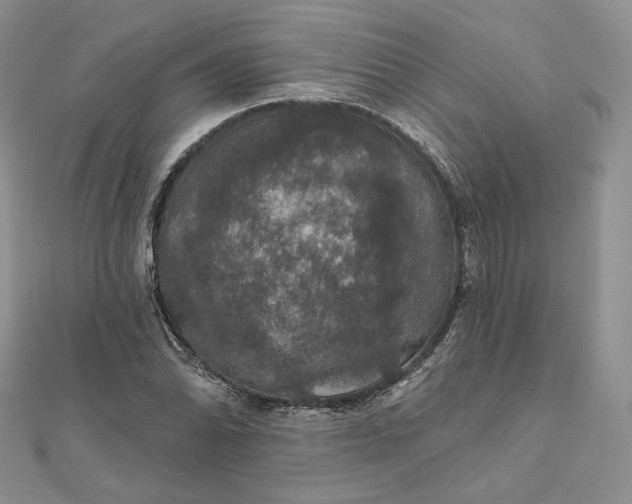 X0000111801070200908061153