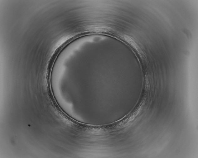 X0000111801071200908061153