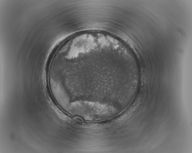 X0000111801072200908061153