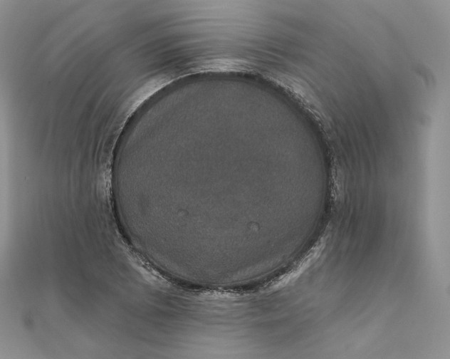 X0000111801073200908061153