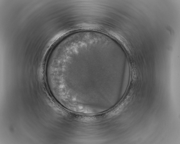 X0000111801074200908061153