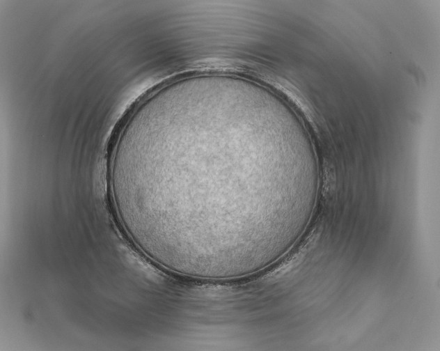 X0000111801075200908061153