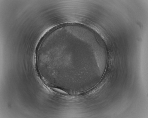 X0000111801076200908061153