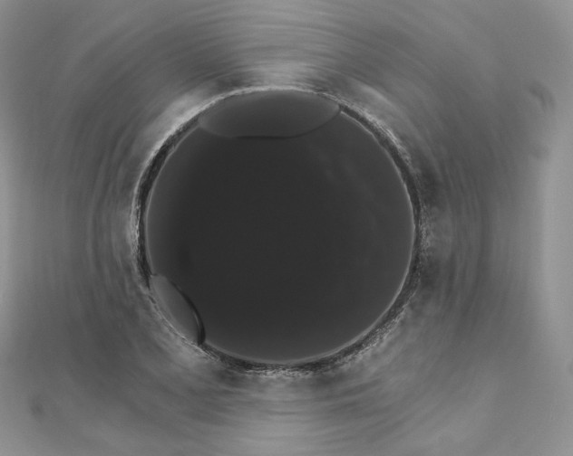 X0000111801077200908061153