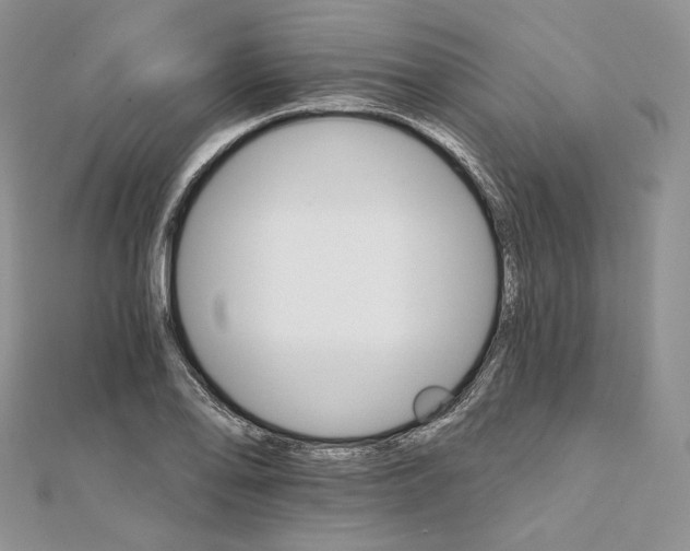 X0000111801078200908061153