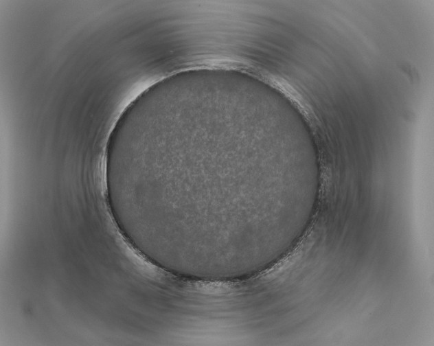 X0000111801079200908061153