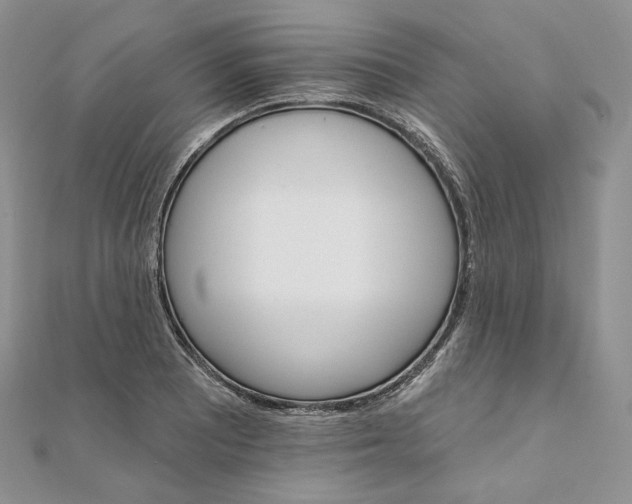 X0000111801081200908061153