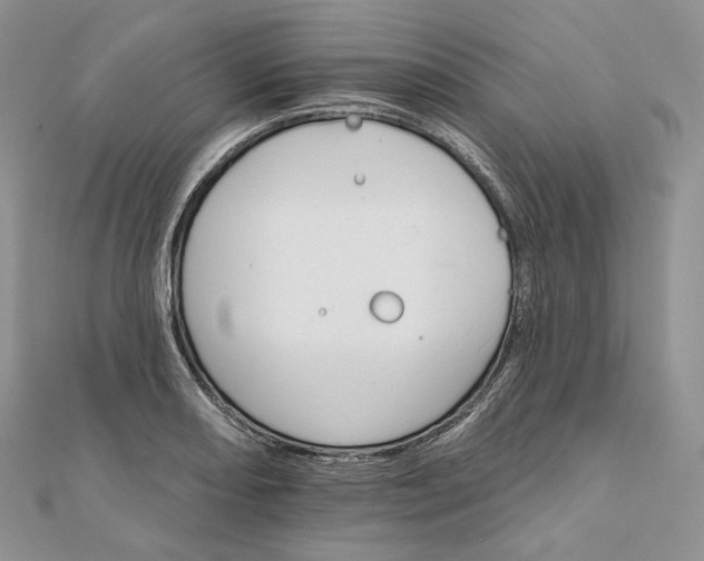 X0000111801082200908061153