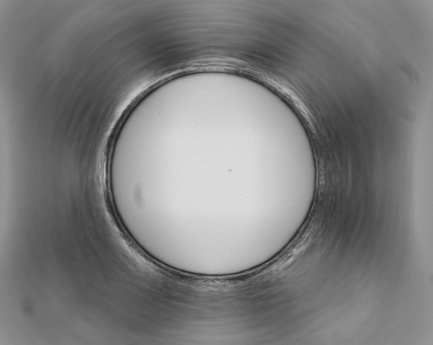 X0000111801083200908061153