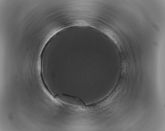 X0000111801084200908061153