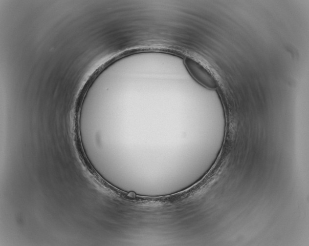 X0000111801085200908061153