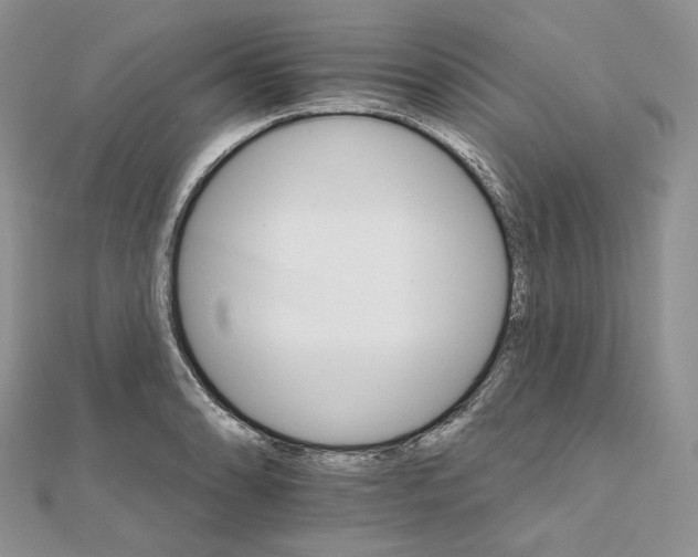 X0000111801086200908061153