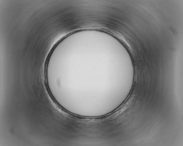 X0000111801087200908061153