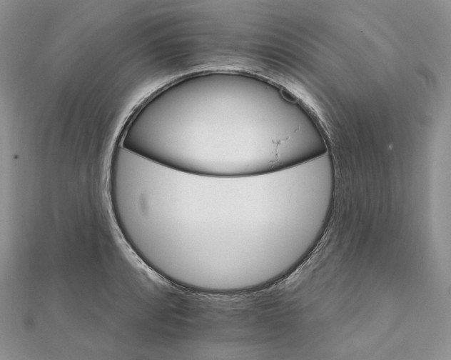 X0000111801088200908061153