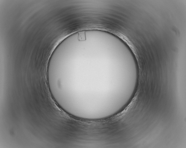 X0000111801089200908061153