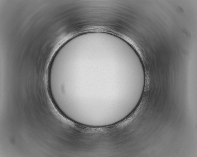 X0000111801090200908061153