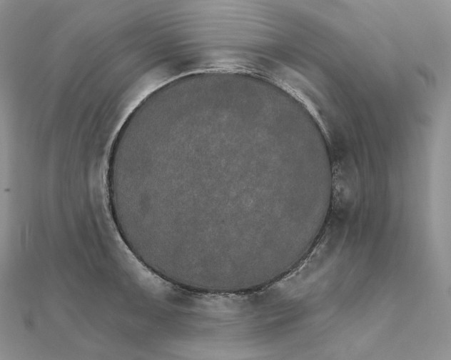 X0000111801091200908061153