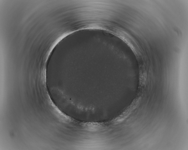 X0000111801092200908061153