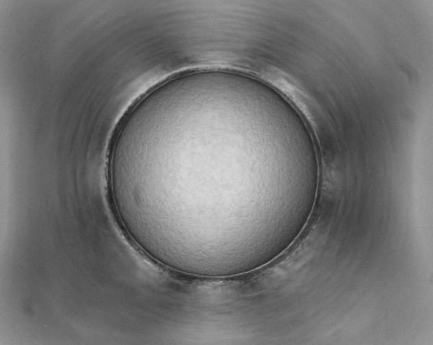 X0000111801093200908061153