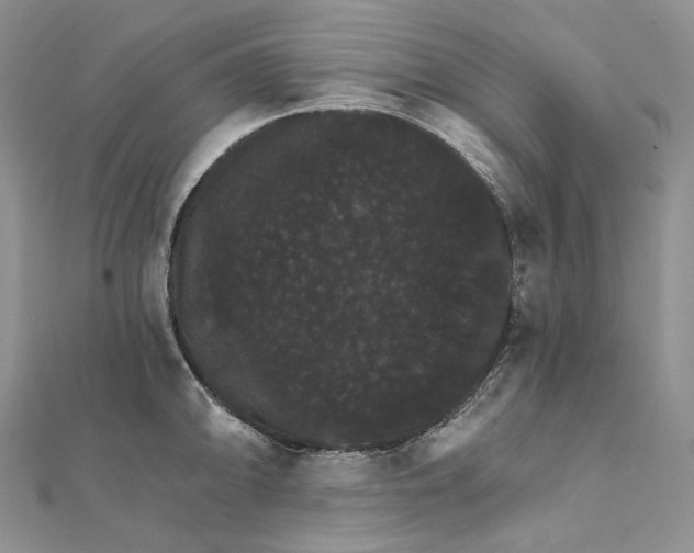 X0000111801094200908061153