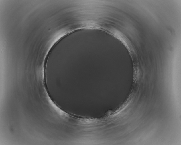 X0000111801095200908061153