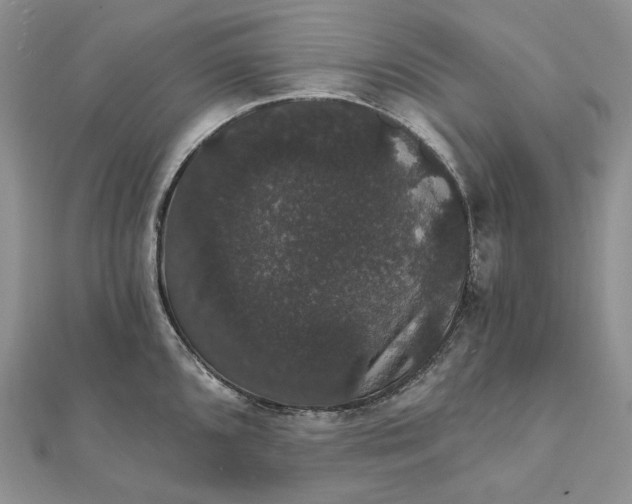 X0000111801096200908061153