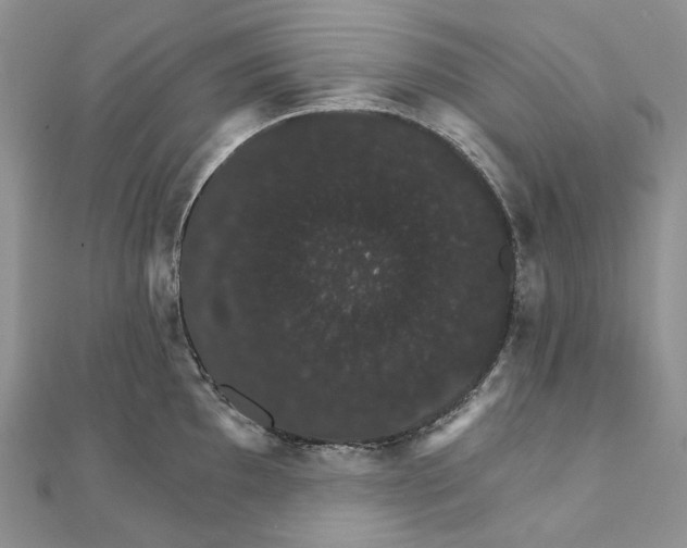 X0000111801097200908061153